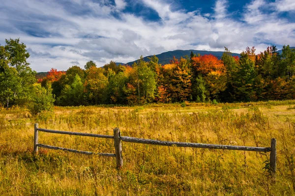 Паркан і осінь колір у білій горі National Forest, нові га — стокове фото