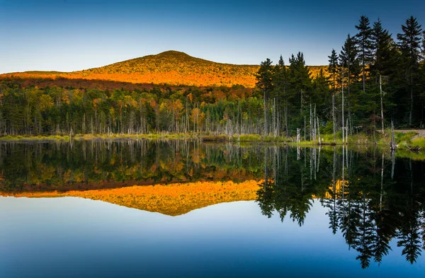 Montieren Täuschung reflektiert in einem Teich in weißen Berg nationalen — Stockfoto