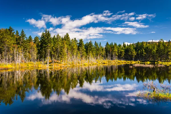 Refleksje, na staw w White Mountain National Forest, nowy szynka — Zdjęcie stockowe