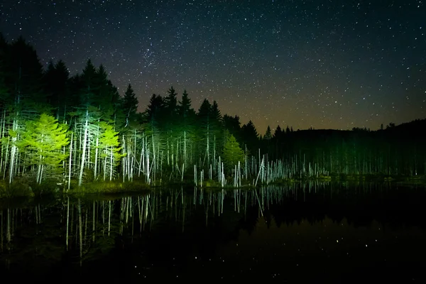 反映在欺骗的池塘里在晚上，在夜空中星星 — 图库照片