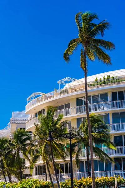 Palm trees and condominiums in Palm Beach, Florida. — Stock Photo, Image