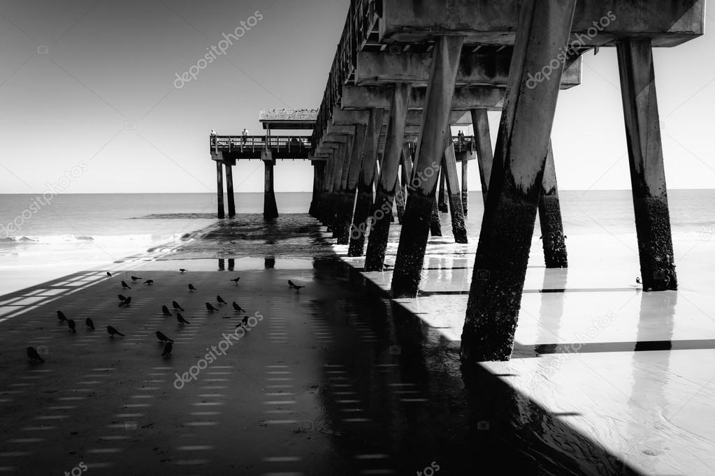 The fishing pier and Atlantic Ocean at Tybee Island, Georgia.