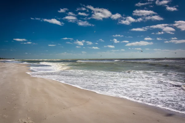 Der strand in sanibel, florida. — Stockfoto