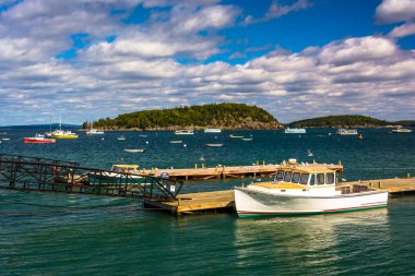 Dock ve Bar Harbor, Maine, limandaki tekneler.