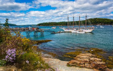 Kayalık sahil ve Bar Harbor, Maine, limandaki teknelerin görünümü