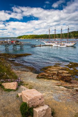Kayalık sahil ve Bar Harbor, Maine, limandaki teknelerin görünümü