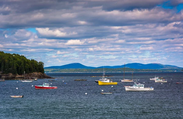 Boats in Frenchman Bay, in Bar Harbor, Maine. — Stock Photo, Image