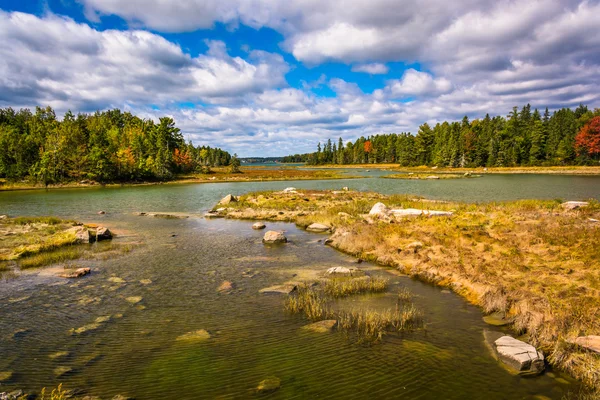 Northeast Creek, on Mount Desert Island in Bar Harbor, Maine. — Stock Photo, Image