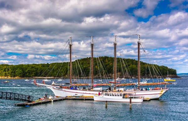 Vitorlás hajó a kikötőben, a Maine állambeli Bar Harbor. — Stock Fotó