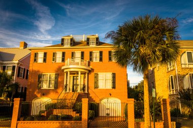 Charleston, Güney Caro sürücüde Murray boyunca ev ve palmiye ağacı