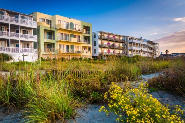 Çiçekler ve sahil binalar Folly Beach, Güney Carolina.
