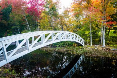 Sonbahar renk ve Somesville, Maine bir su birikintisi üzerinde yürüyen köprü