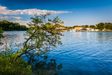 Cox Point Parkı Essex, arka nehir üzerinde Mar asılı ağaç