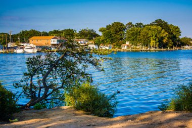 Cox Point Parkı Essex, arka nehir üzerinde Mar asılı ağaç