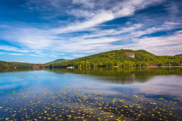 Early autumn color at North Pond, near Belfast, Maine. — Stock Photo, Image