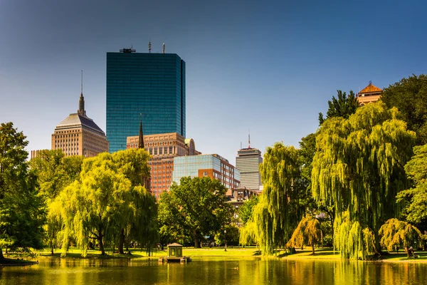 Vijver bij de openbare tuin en de gebouwen in Boston, Massachusetts — Stockfoto