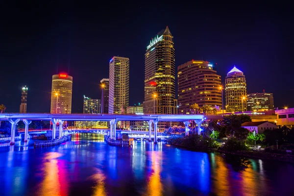 Manzarası ve gece Hillsborough Nehri köprüler 