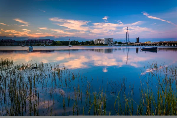 Erbe di palude al crepuscolo sul fiume Folly, a Folly Beach, così — Foto Stock