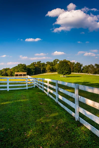 Valla y campo de cultivo en el condado de Howard rural, Maryland . — Foto de Stock