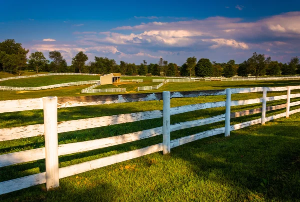 Valla y campo de cultivo en el condado de Howard rural, Maryland . — Foto de Stock