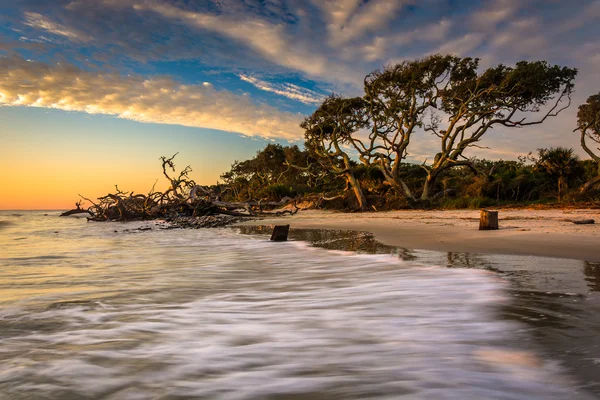 Sabah ışık ve dalgalar dalgaların karaya attığı odun plajda, Atlantik Ocea — Stok fotoğraf