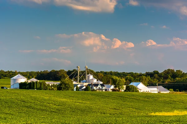 Vista de una granja en el condado rural de Howard, Maryland . — Foto de Stock