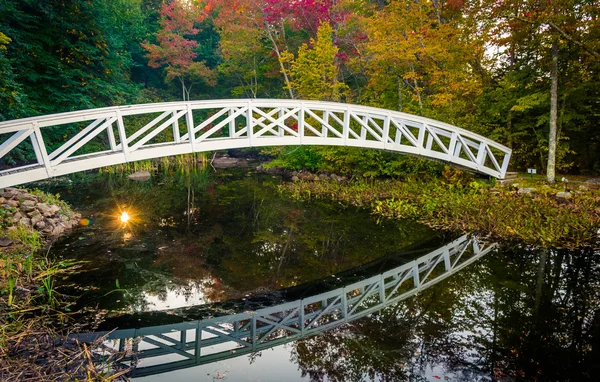 Color de otoño y puente peatonal sobre un estanque en Somesville, Maine — Foto de Stock