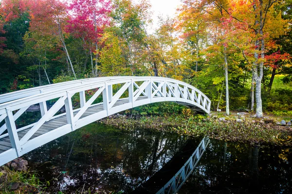 Podzimní barvy a pěší most přes rybník v Somesville, Maine — Stock fotografie