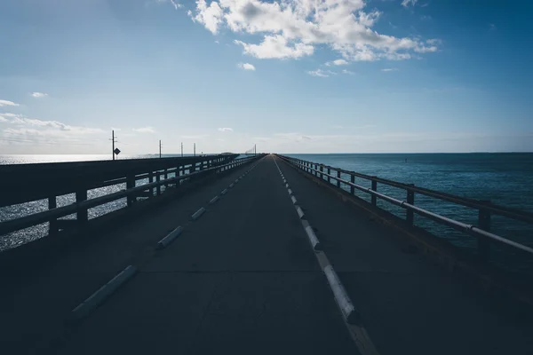 The Old Seven Mile Bridge, na Estrada Ultramarina em Maratona, Flor — Fotografia de Stock