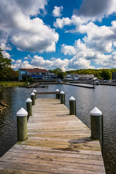 Doky v parku North East Společenství v severovýchod, Maryland. — Stock fotografie