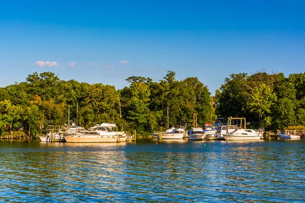 Båtar dockad i floden tillbaka, sett på Cox Point Park, i Essex — Stockfoto