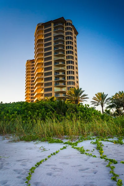 Torre del condominio en la playa en Singer Island, Florida . — Foto de Stock