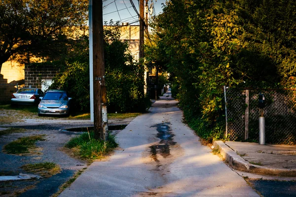 Callejón estrecho en Essex, Maryland . — Foto de Stock