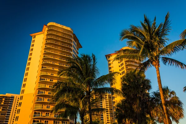 Palmbomen en condo towers in Singer Island (Florida). — Stockfoto
