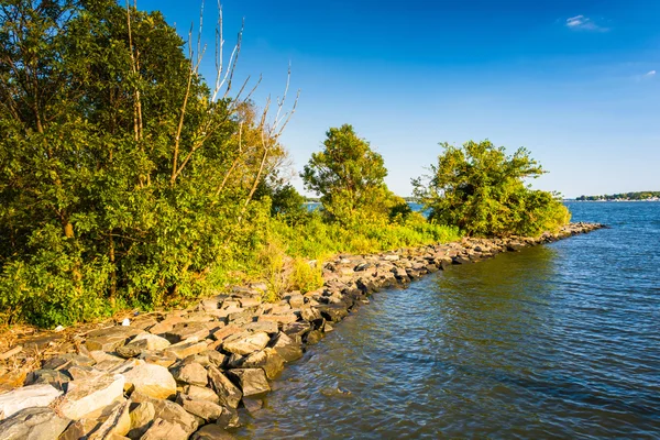 The Back River em Cox Point Park em Essex, Maryland . — Fotografia de Stock