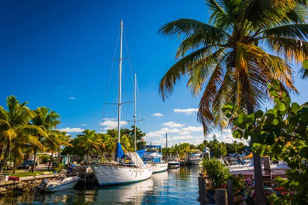Boats and palm trees at a marina in Marathon, Florida. Stock Image
