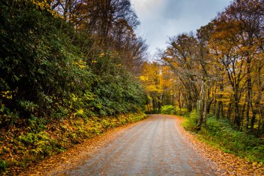 Sonbahar renk Blue Ridge Parkway mo yakınındaki bir toprak yol boyunca