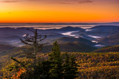 Sonbahar gündoğumu Beacon Heights, Blue Ridge Parkw üzerinden görüntülemek
