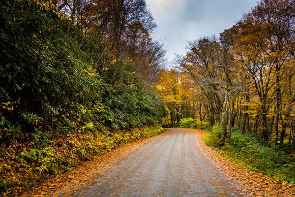 Autumn color along a dirt road near the Blue Ridge Parkway in Mo — Stock Photo, Image