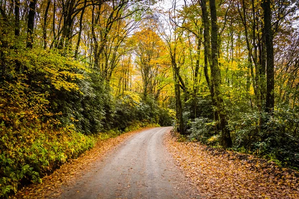 ミズーリ州ブルーリッジ ・ パークウェイの近くの未舗装の道路に沿って紅葉 — ストック写真