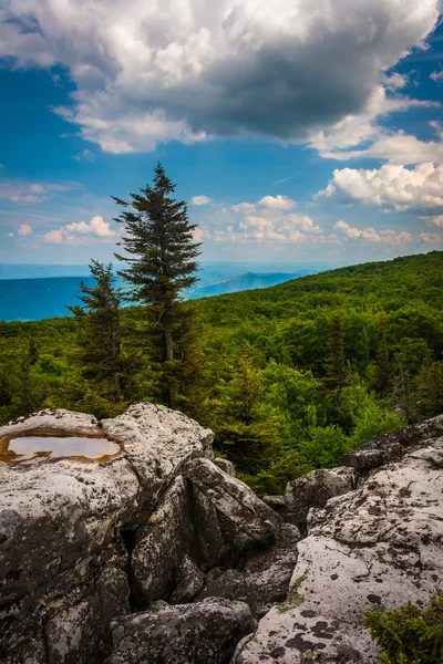 Boulders et vue est des Appalaches depuis Bear — Photo