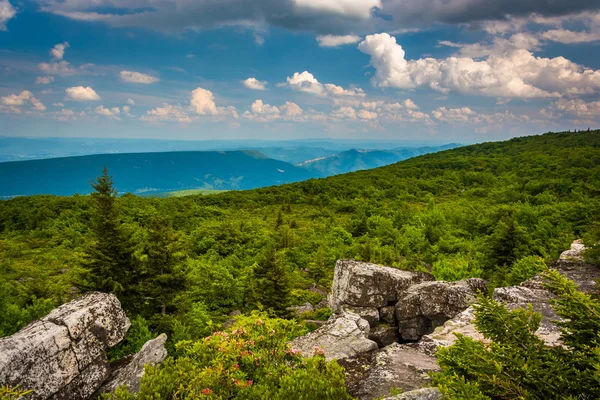 Piedras y vista oriental de las montañas Apalaches desde Oso — Foto de Stock