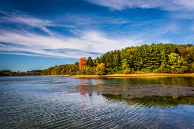 Göl Marburg, Codorus devlet parkı, Penns'erken sonbahar renk