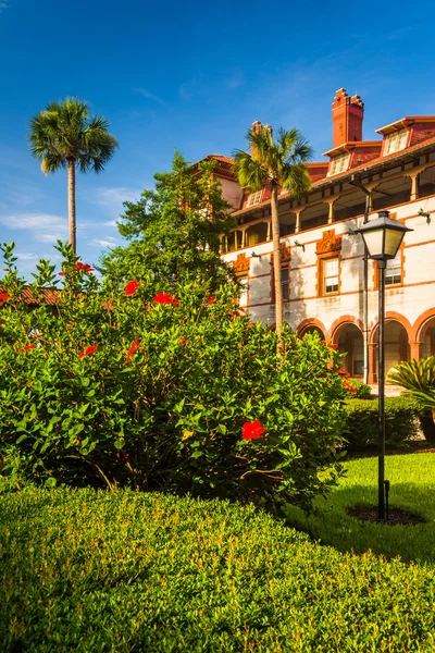 Bushes and building at Flagler College, in St. Augustine, Florid — Stock Photo, Image