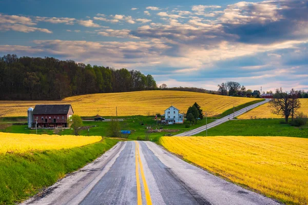 Landweg en uitzicht op boerderij velden en heuvels in rural York Cou — Stockfoto