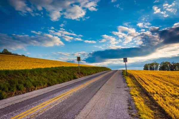 Landstraße im ländlichen Kreis York, Pennsylvania. — Stockfoto