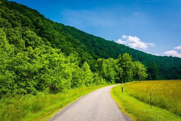 Felder entlang einer Straße im ländlichen Potomac-Hochland von West v — Stockfoto