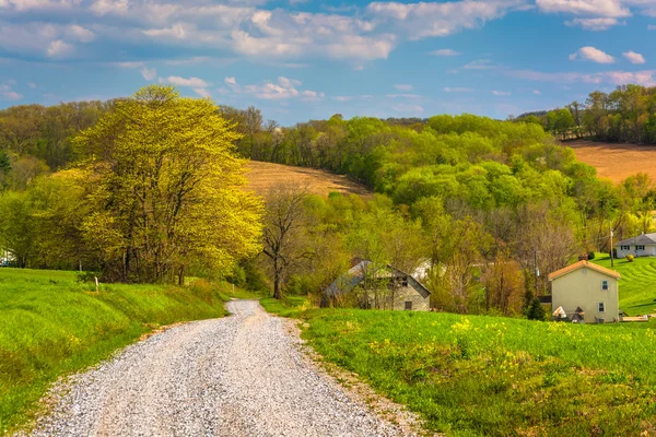 Campos agrícolas a lo largo de un camino de tierra en el condado rural de York, Pennsylvania —  Fotos de Stock