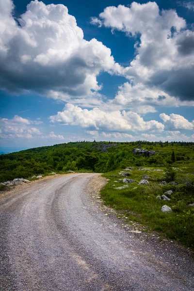 Forest Road 75 at Bear Rocks Preserve, in Dolly Sods Wilderness, — Stock Photo, Image