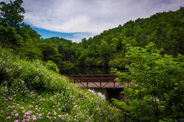 Çiçekler, köprü ve su birikintisi, Julian fiyat Memorial Park, th boyunca — Stok fotoğraf